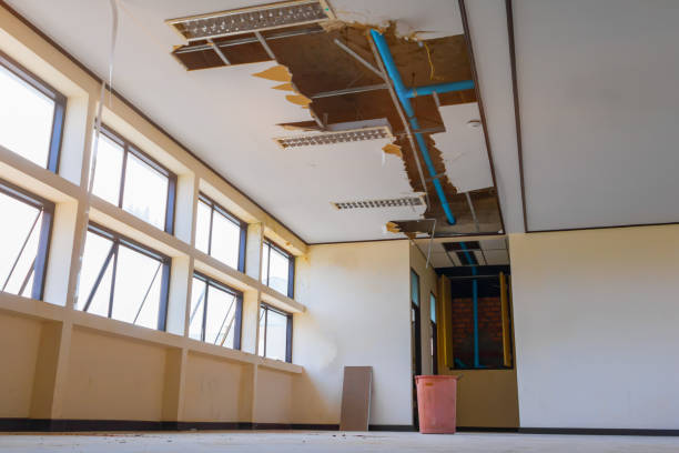 Carpet water damage restoration in East Palestine, OH