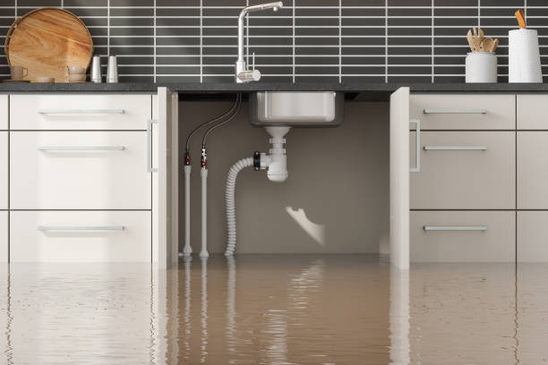 Best Local water damage restoration  in East Palestine, OH