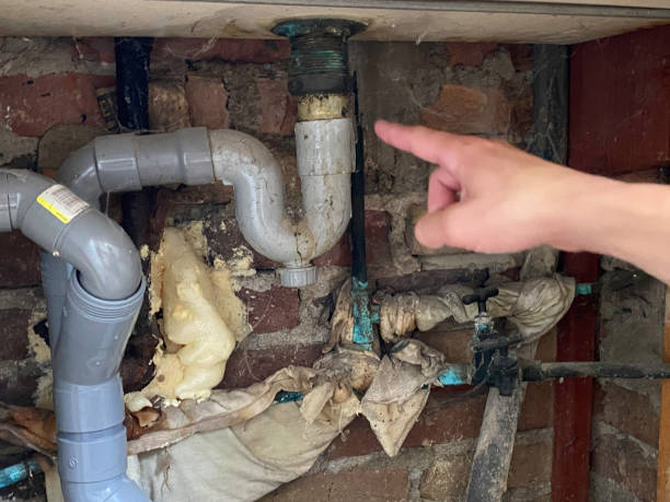 Best 24-hour water damage restoration  in East Palestine, OH