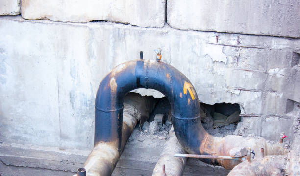 Best Professional water damage repair  in East Palestine, OH